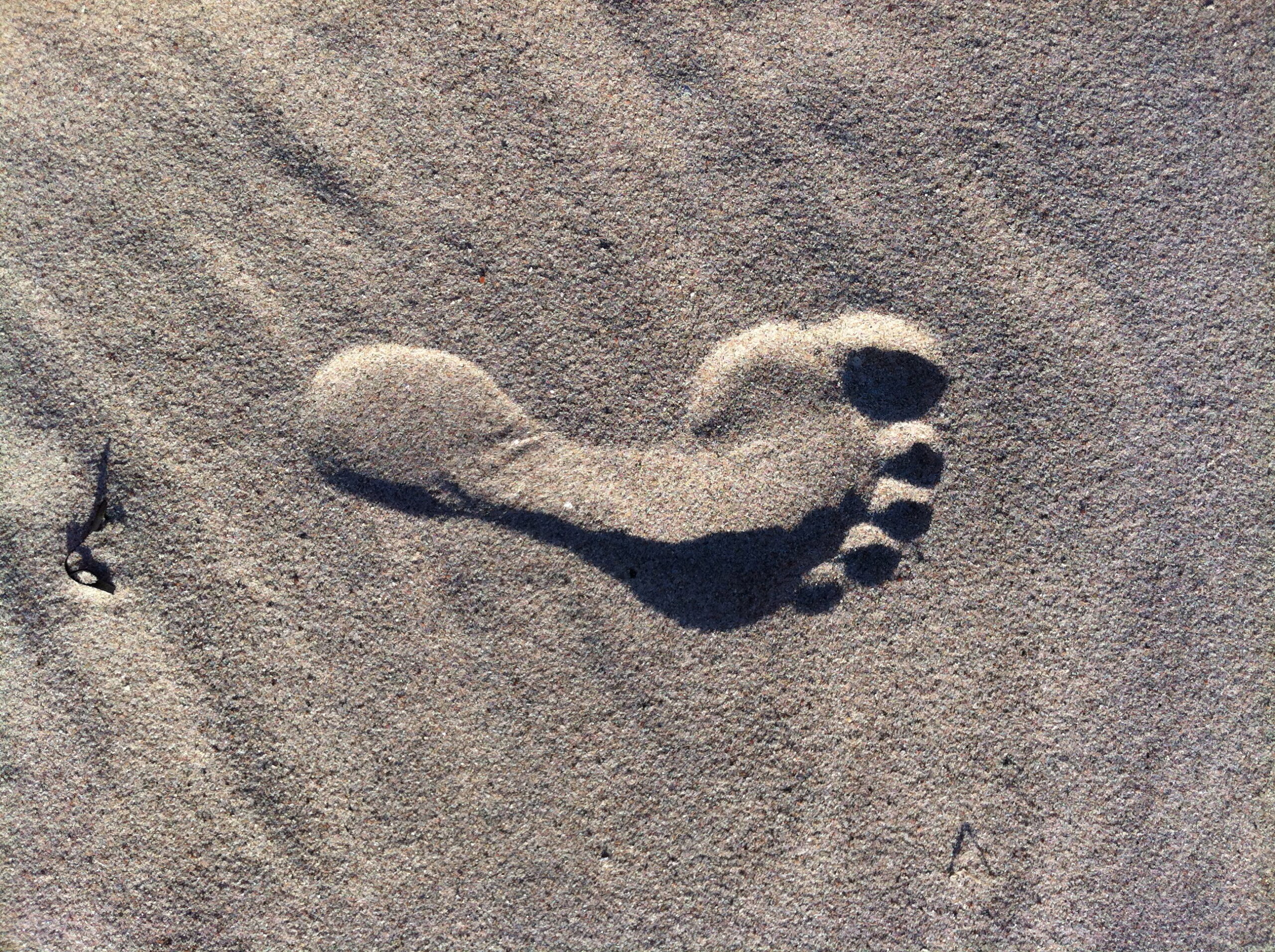 Ett fotspår I sand.