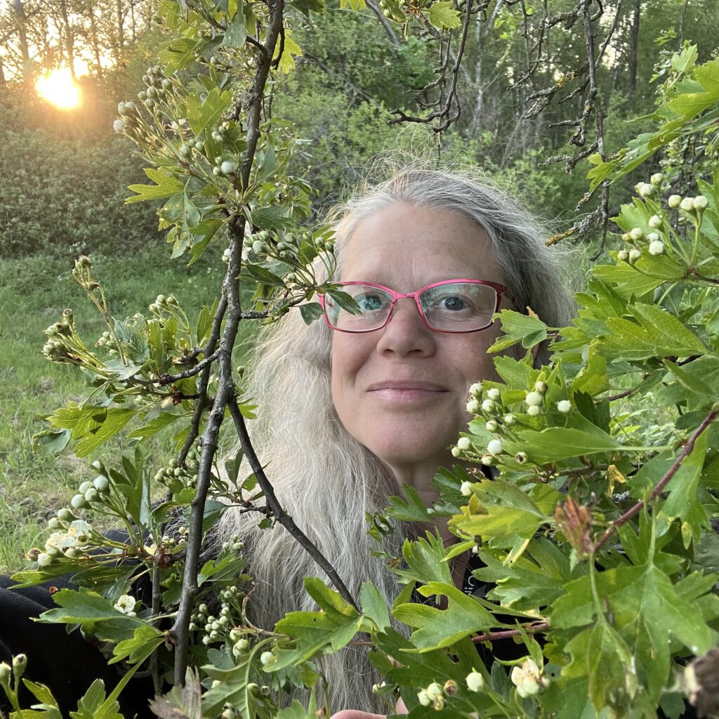 Gråhårig kvinna kikar fram bland blad och vita knoppar.