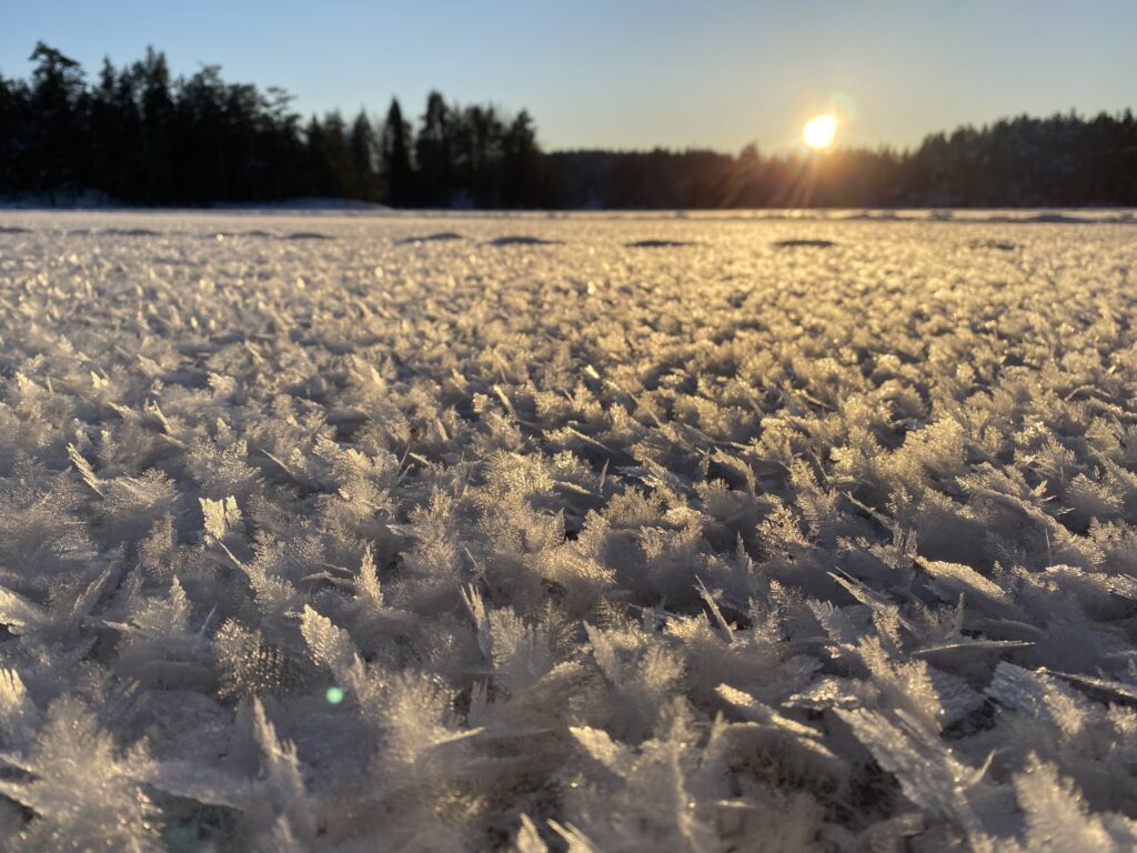 Sol över mörk horisont lyser genom iskristaller